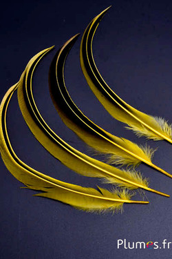 Canard Mandarin - 15-20 cm - jaune